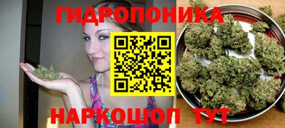 стаф Бугуруслан