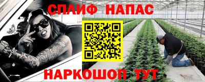 индика Будённовск