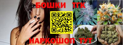 индика Будённовск