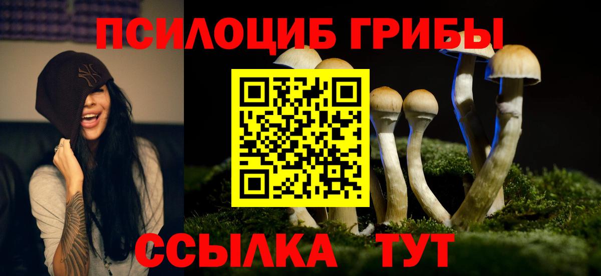 Псилоцибиновые грибы GOLDEN TEACHER  наркотики  Галлюциногенные грибы мухоморы  Челябинск  Вход с VPN 